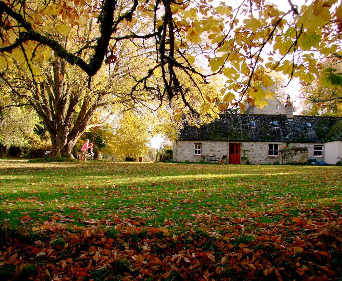 The Dell Of Abernethy - A Woodland Hideaway Appartement Nethy Bridge Buitenkant foto