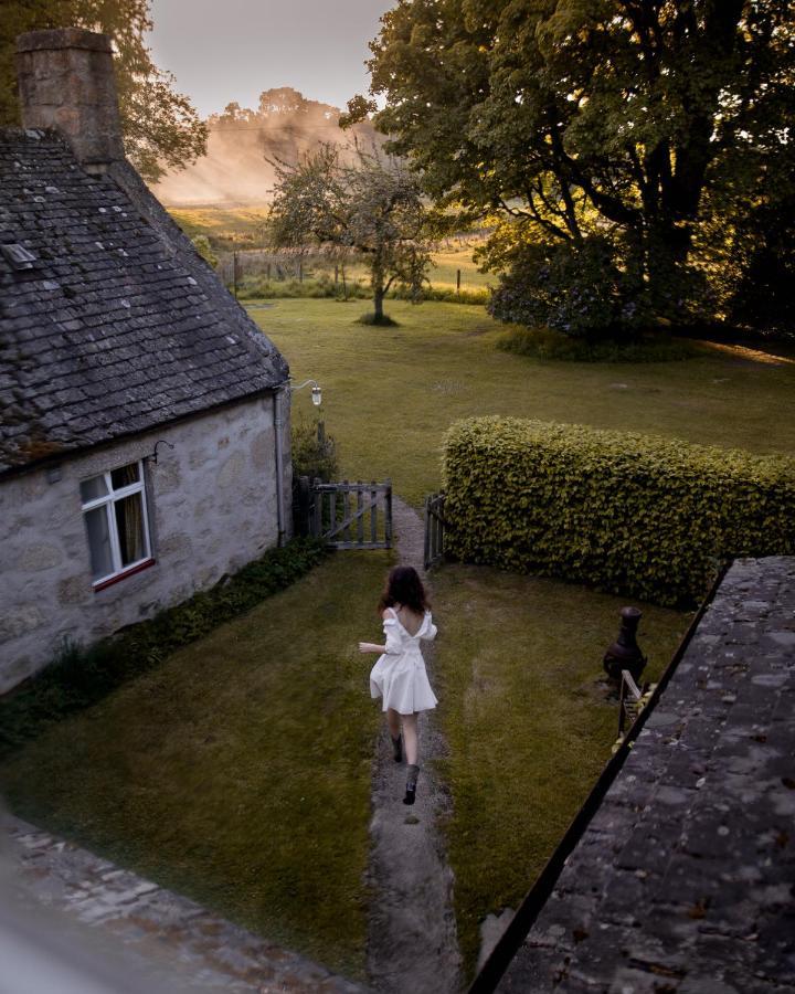 The Dell Of Abernethy - A Woodland Hideaway Appartement Nethy Bridge Buitenkant foto